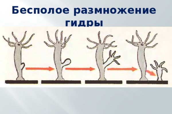 Не могу зайти в аккаунт кракен