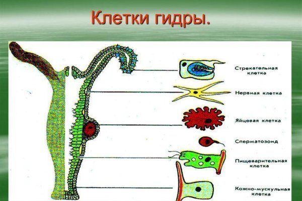 Как подключиться к даркнету