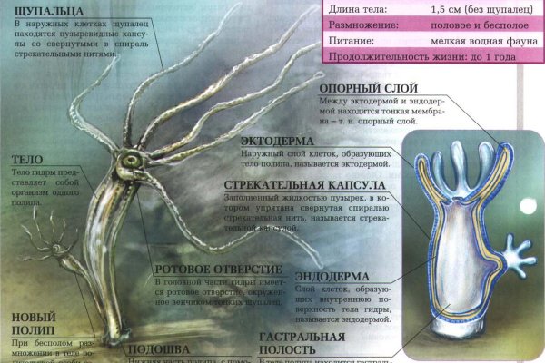 Купить наркотики онлайн