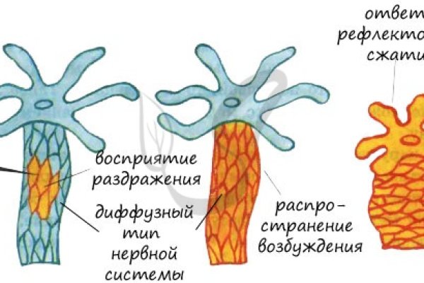 Kraken ссылка krakens13 at