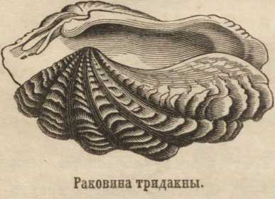 Kraken сайт магазин